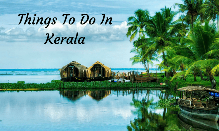 Kerala’s Top 16 Places to Visit: Unforgettable Experience Await